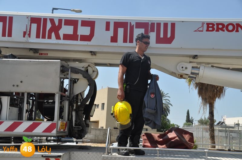 cat lud 910 (26).JPG